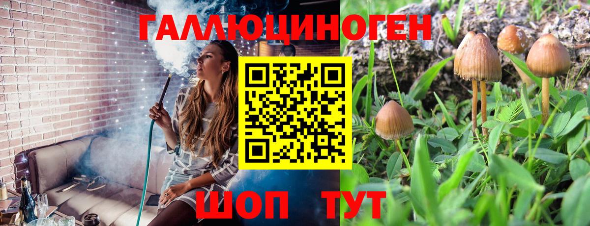 Псилоцибиновые грибы мухоморы  Вход с VPN  Галлюциногенные грибы Psilocybine cubensis  Саяногорск 